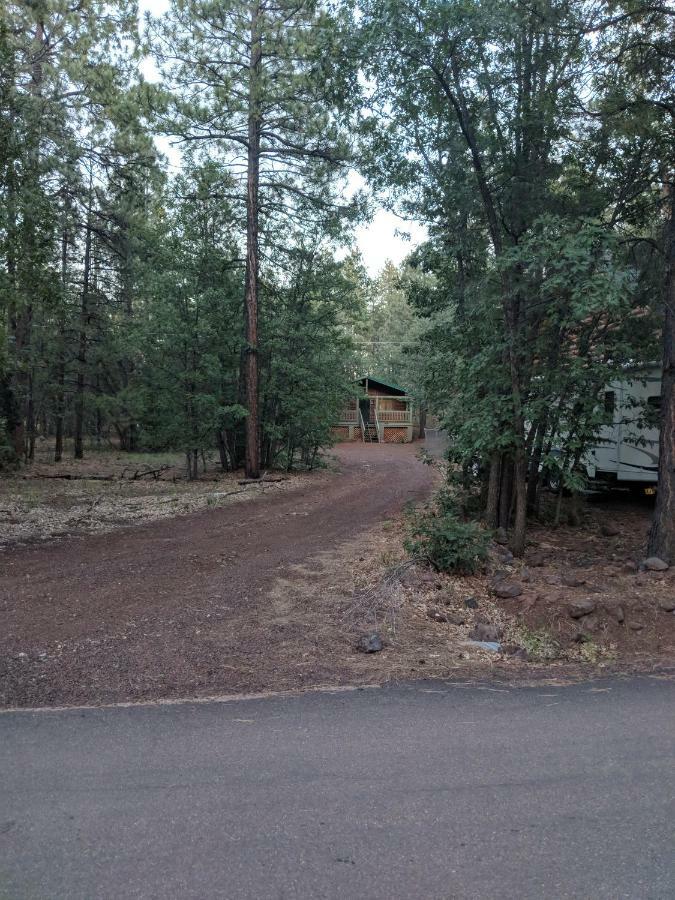 Cozy Cub Log Cabin - Year Round Tranquil Beauty Pinetop-Lakeside Buitenkant foto