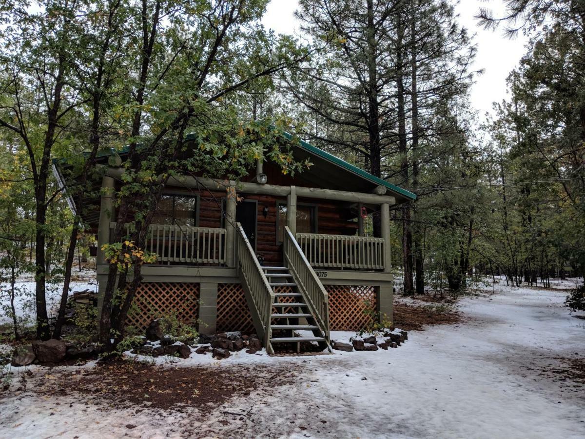 Cozy Cub Log Cabin - Year Round Tranquil Beauty Pinetop-Lakeside Buitenkant foto