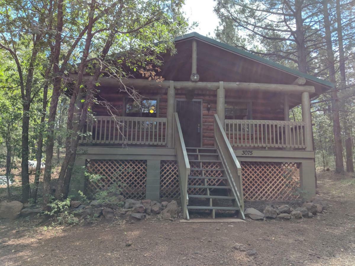 Cozy Cub Log Cabin - Year Round Tranquil Beauty Pinetop-Lakeside Buitenkant foto